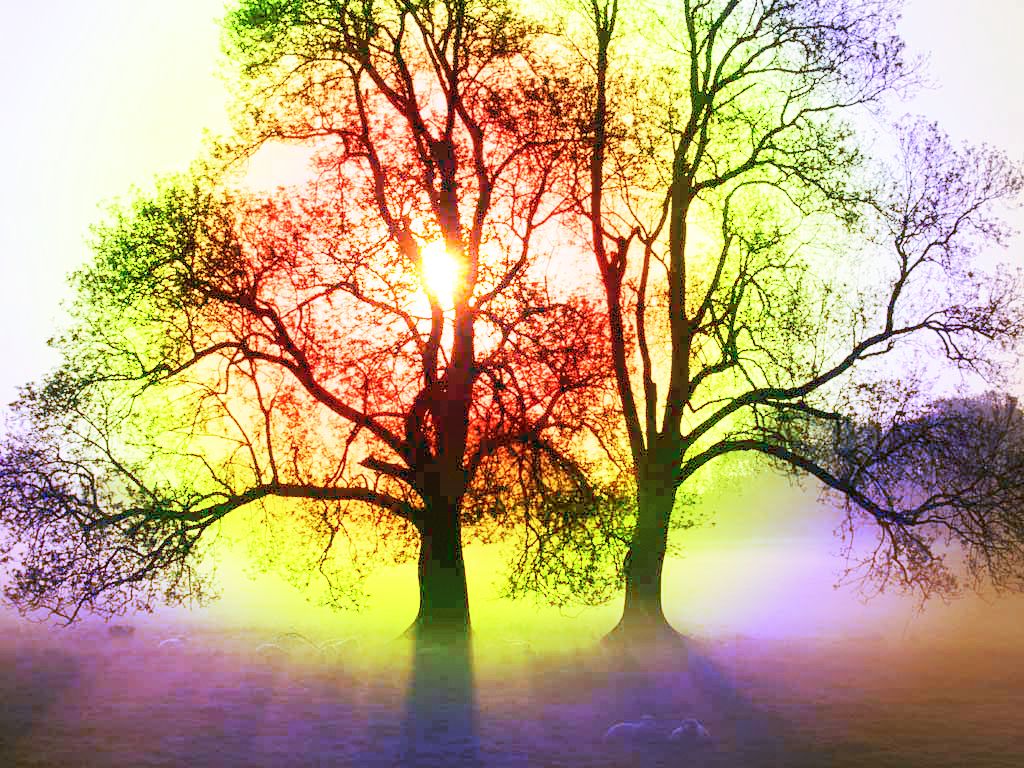 tree